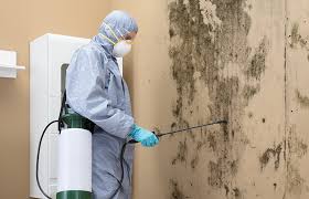 Best Commercial Mold Inspection  in Hampton Beach, NH